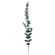 Umelé kvety Eucalyptus 69 cm