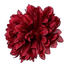 Hlava chryzantémy tmavočervenej s priemerom 15 cm.