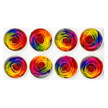 Ruža preparovaná 5cm RAINBOW v rôznych farbách.