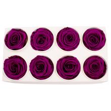 Ruža preparovaná 5cm VELVET PLUM v balení po 8 kusoch.