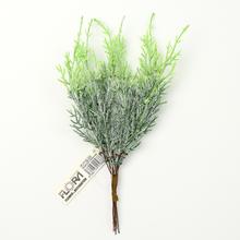 Umelý zápich čečiny snehovej, 20 cm.