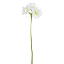 Umelé kvety amarylis krémový 69 cm.