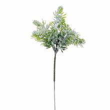 Zasnežená čečina s dĺžkou 26 cm.