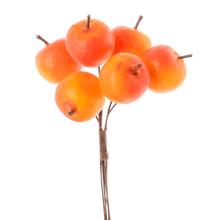 Zväzok oranž-žltých jabĺčok na jesennú dekoráciu.