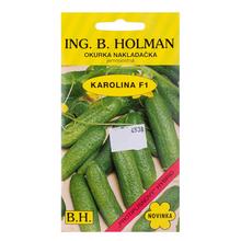Semená uhorky nakladacej Karolina F1 v balení 2,5g.