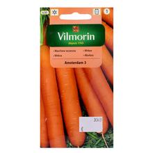 Semená mrkvy Amsterdam 3 v balení 5g.