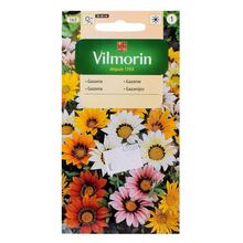 Semená gazánie lesklej v balení 0,2g.