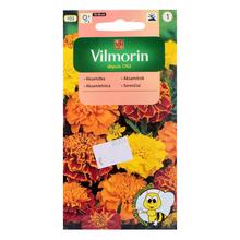 Semená akasamitnica rozložitá zmes 1g