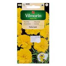 Semená akasamiatnice rozložitej Petite Gold 1g.