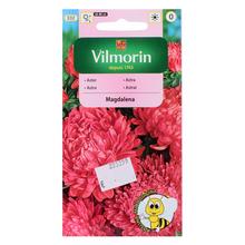 Semená astra čínska purpurová MAGDALENA 0,5g