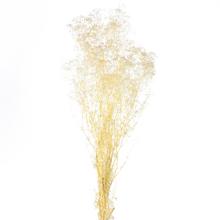 Bielená sušená gypsophila