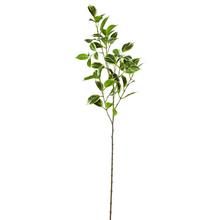 Umelé listy Ficus panášované 75 cm.