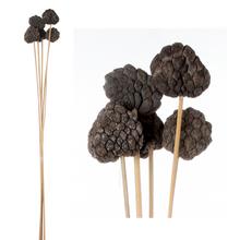 Stabilizované ovocie v balení po 5 kusoch.