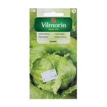 Semená šalátu Ľad. Larsen 0,5g