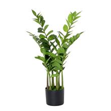 Umelá rastlina ZamioCULCAS v črepníku s výškou 75 cm.