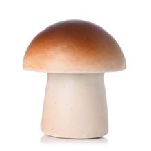 Hnedý penový hríb s hnedou čiapkou.