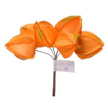 Zápich physalis žltý/oranžový, 6 kusov, 13 cm.