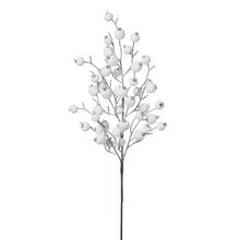 Vetvička bielej šípky s bobuľami.