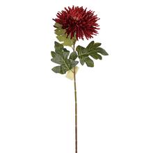 Umelá chryzantéma v bordovej farbe s dlhým stonkom.