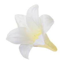 Umelá biela ľalia s rozmerom 14 cm.