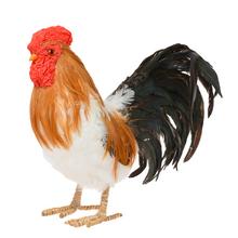 Slamený kohút s perím, prírodný dekoratívny prvok.