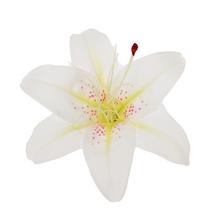 Umelá hlava ľalie krémovej s detailmi v strede.