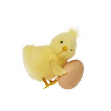 Kuriatko s prírodným vajíčkom, sediace, 10 cm.