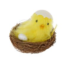 Kuriatko v hniezde s vajíčkom