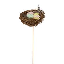 Zápich hniezdo s vajíčkami