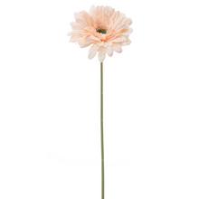 Umelá gerbera v bledoružovej farbe s dĺžkou 44 cm.