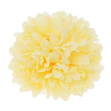 Hlava chryzantémy v bledohnedej farbe s priemerom 12 cm.