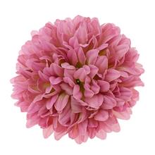 Hlava chryzantémy v ružovej farbe s priemerom 12 cm.