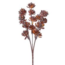 Umelá zeleň sukulent bordový 30 cm