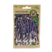 Semená fazule Purple Queen 20g