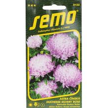 Semená astrovky čínskej Duchesse Silvery Rose 0,5g.