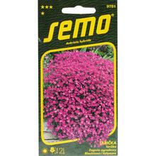 Semená TARIČKA LEICHTINII 0,2g od SEMO.