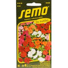 Semená netýkavky sultánskej v balení 0,04g.