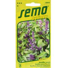 Semená bazalky Cinamonette 0,7g