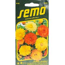 Semená nechtíka Pacific Beauty 1g.