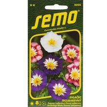 Semená pupenca trojfarebného v balení 1g.