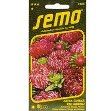 Semená Aster Čínska Red Ribbon 0,2g