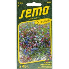 Semená lobelky Cascade zmes 0,25g od SEMO.