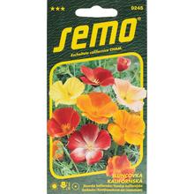 Semená slnečkov kalifornských v rôznych farbách.