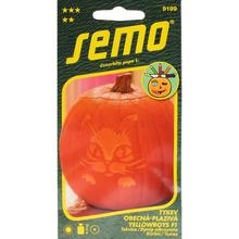 Semená tekvice okrasnej Yellowboys F1 v balení 1g.