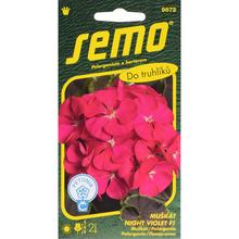 Semená muškátu Night Violet F1 od SEMO.