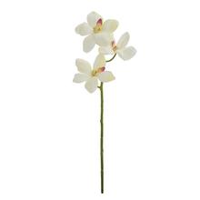 Umelá orchidea Vanda RM0902