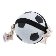 Hračkárska lopta pre psov s priemerom 19 cm.