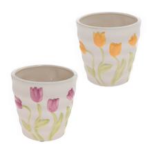 OBAL TULIPÁN MIX FARBA 16XV16CM