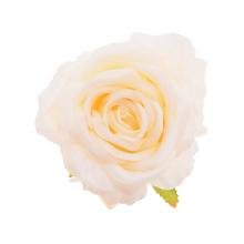 Umelá ruža krémovo-zelená s priemerom 10 cm, balenie 12 ks.