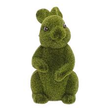 Zelený machový zajačik sediaci